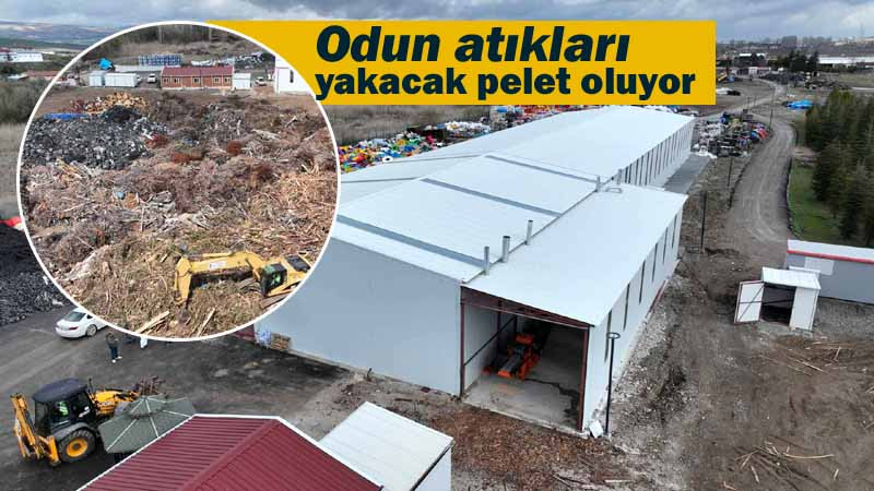 Ankara'da Odun Atıkları Büyükşehir Tarafından Dönüştürülüyor