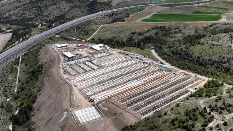 Başkent'te Sokak Hayvanları İçin Devasa Merkez