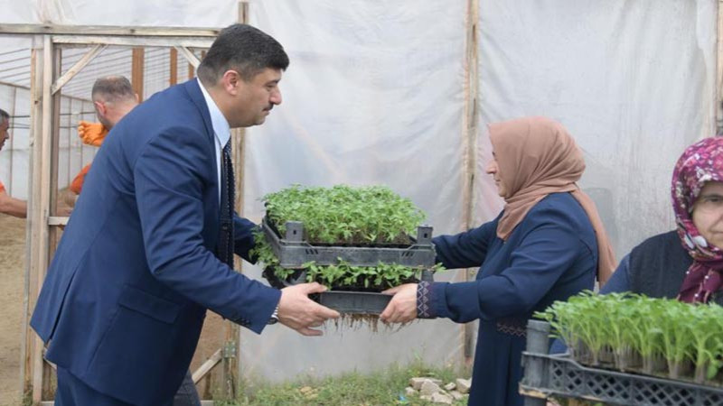 Kahramankazan'da Yerli Ata Tohumu Dağıtıldı