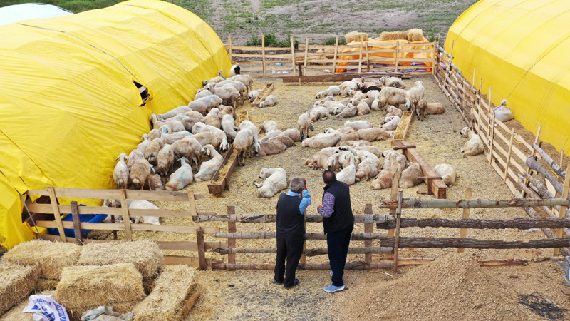 Keçiören'de Kurban Satışları Başladı