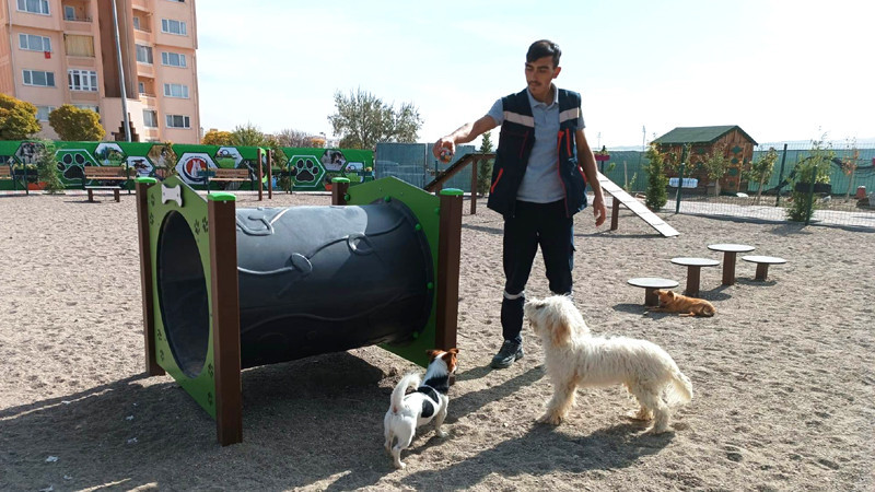 Sincan Pati Park, Hayvan Dostlarımızı Ağırlıyor