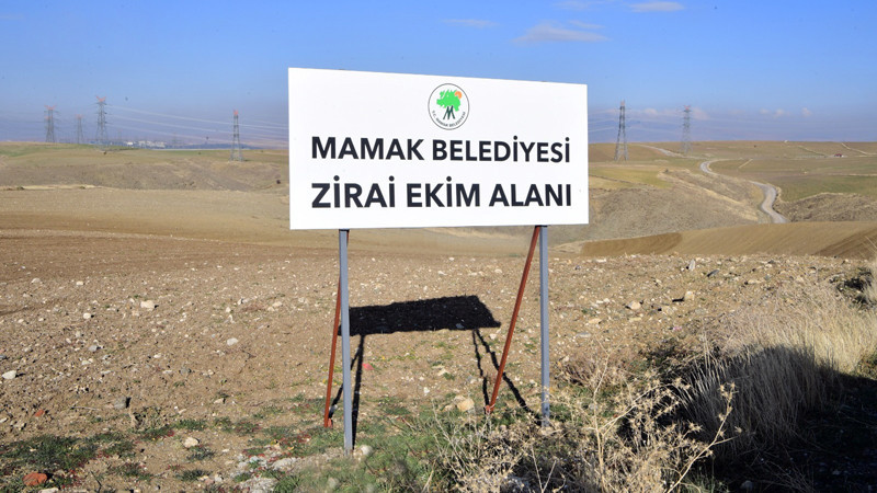 Mamak Belediyesi Çiftçiler İçin Tohum Yetiştirecek