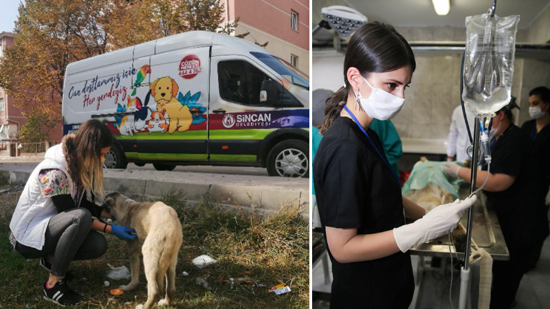 Sincan'da Sokak Hayvanları Güvende