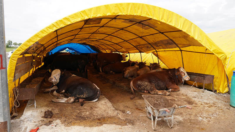 Keçiören'de Kurban Satış Alanları İçin Başvurular Başladı