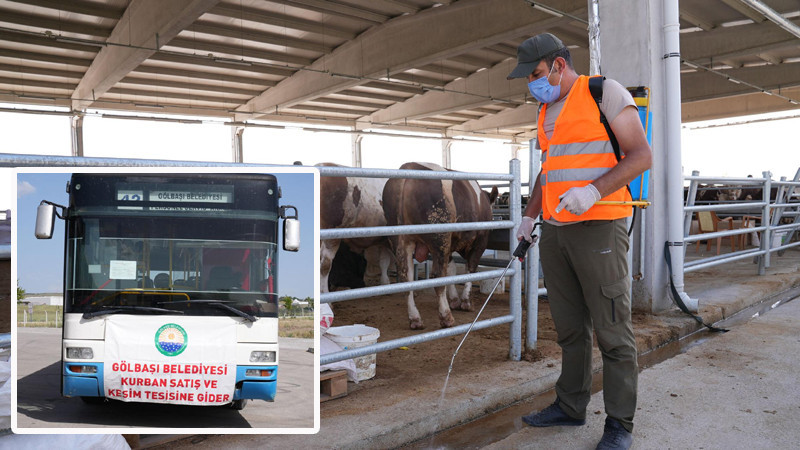 Gölbaşı'nda Kurban Satış Alanına Ücretsiz Ulaşım
