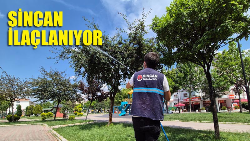 Sincan'da İlaçlama Çalışmaları Devam Ediyor