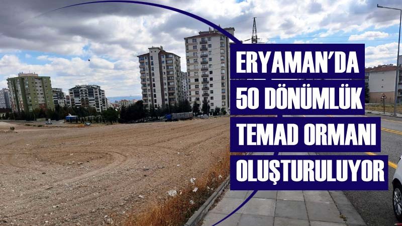 Eryaman'a 50 Dönümlük TEMAD Ormanı 