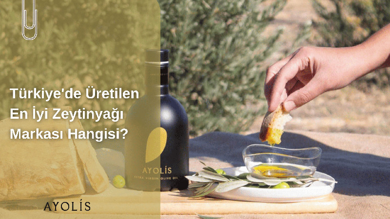 Ayvalık Zeytinyağı Seçiminde Kaliteyi Nasıl Anlarsınız? Hangi Marka Öne Çıkıyor?