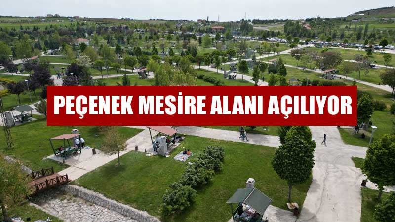 Altındağ'ın Yeni Mesire Alanı Cumartesi Günü Açılıyor