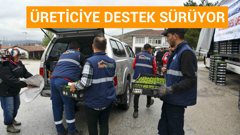 Ankara Çiftçisine Erkenci Sebze Fidesi Dağıtıldı