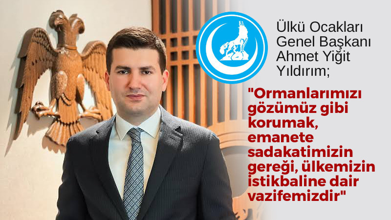 Ülkü Ocakları'ndan Orman Yangınları İle İlgili Açıklama