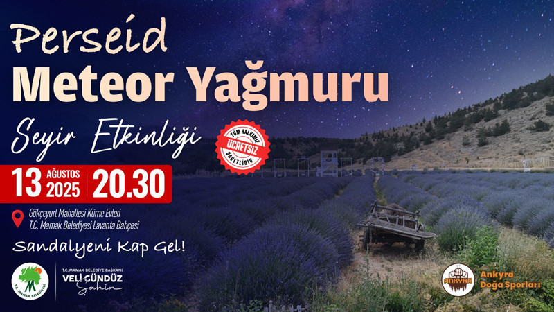 Ankaralılar Meteor Yağmurunu Mamak'ta İzleyecek