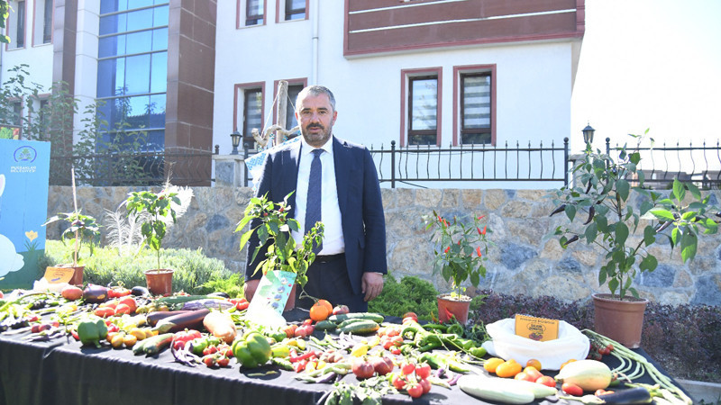 Pursaklar'da Yerli Tohum Hasadı Yapıldı