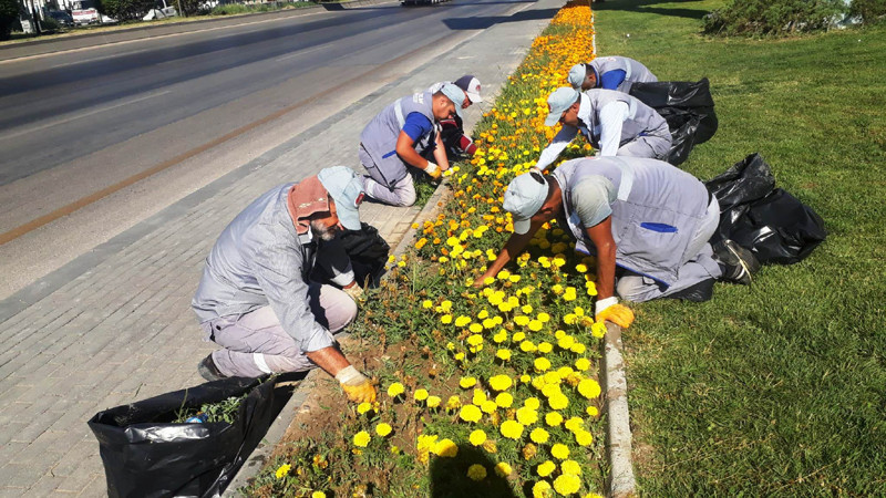 Sincan Cadde ve Sokakları Çiçeklerle Süslendi