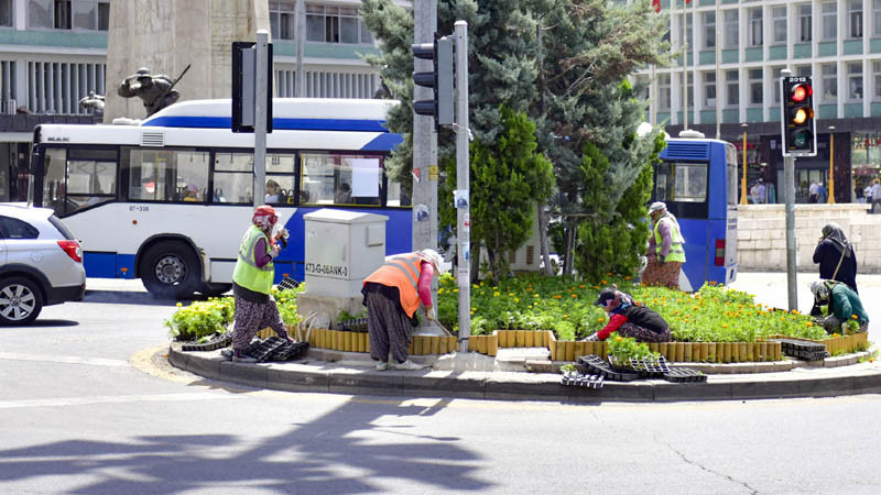 Başkent Yaz Çiçekleriyle Renkleniyor
