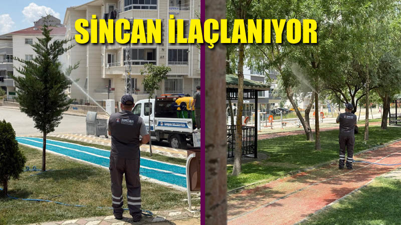 Sincan Belediyesi Keneye Geçit Vermiyor