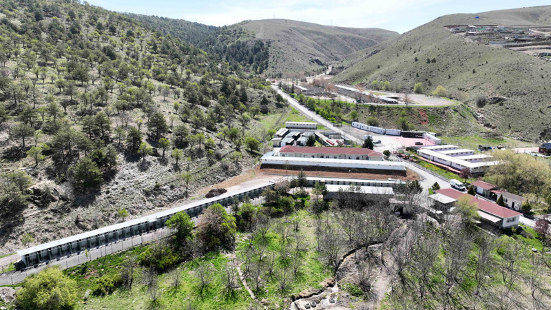 Çankaya'da Barınak Kapasitesi 1.500'e Çıkarıldı