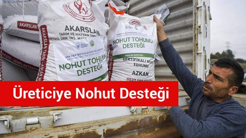 Ankara Büyükşehir'den Çiftçiye Nohut Desteği