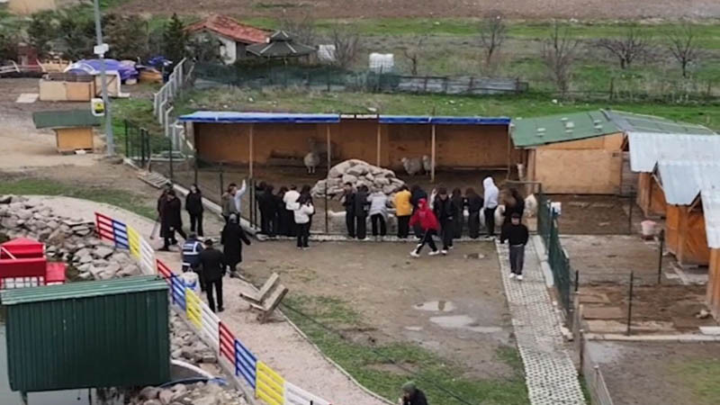 Sincan Eko-Çiftlik'te Anlamlı Etkinlik