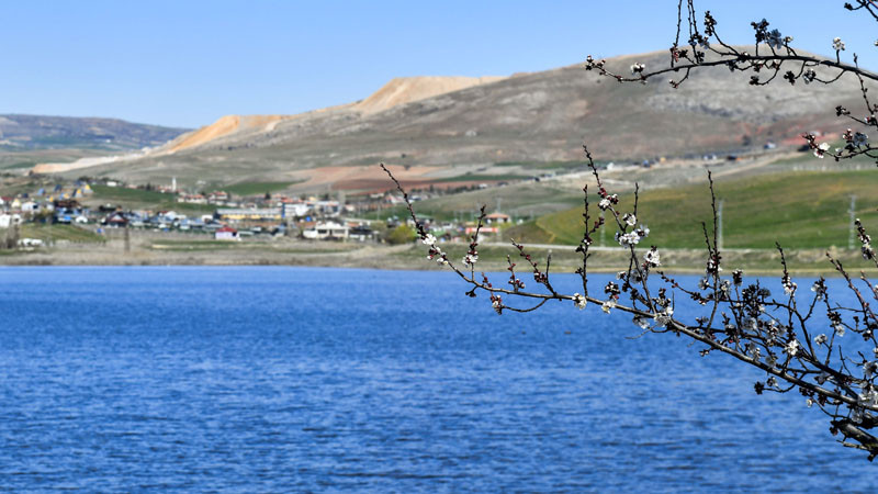 Çubuk Kızılca Göleti Suya Yeniden Kavuştu