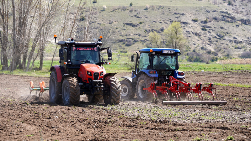 Kızılcahamam'da Pirinç Üretimi Yeniden Başladı