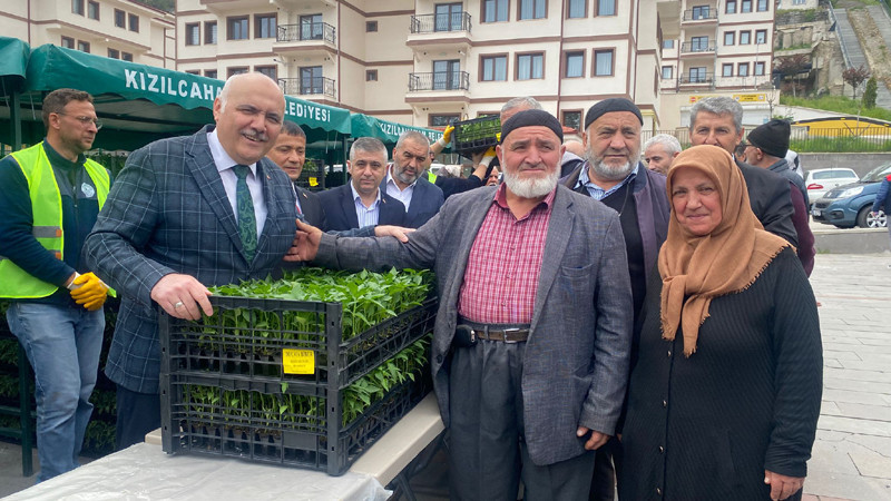 Kızılcahamam'da Üreticiye Fide Desteği