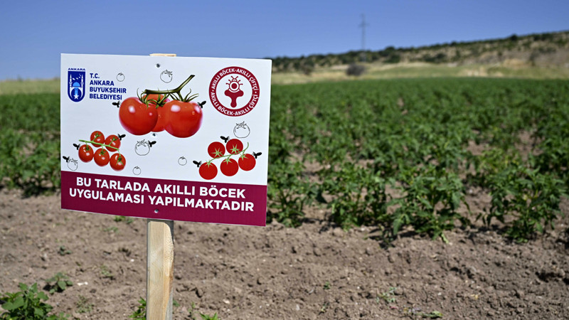 Ankara'da Üreticiye Akıllı Böcek Desteği