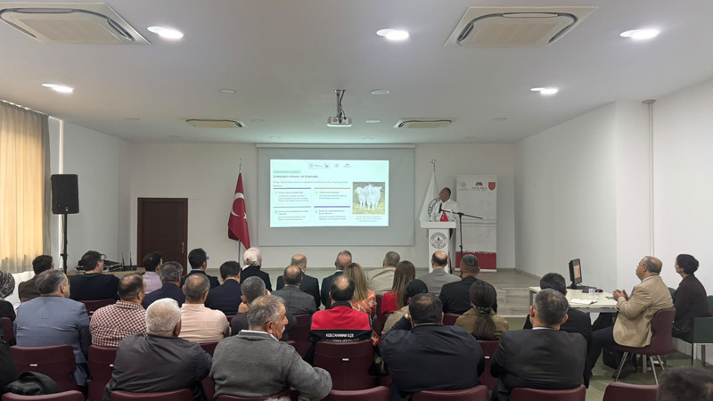 Ankara Keçisi Çalıştayı Düzenlendi